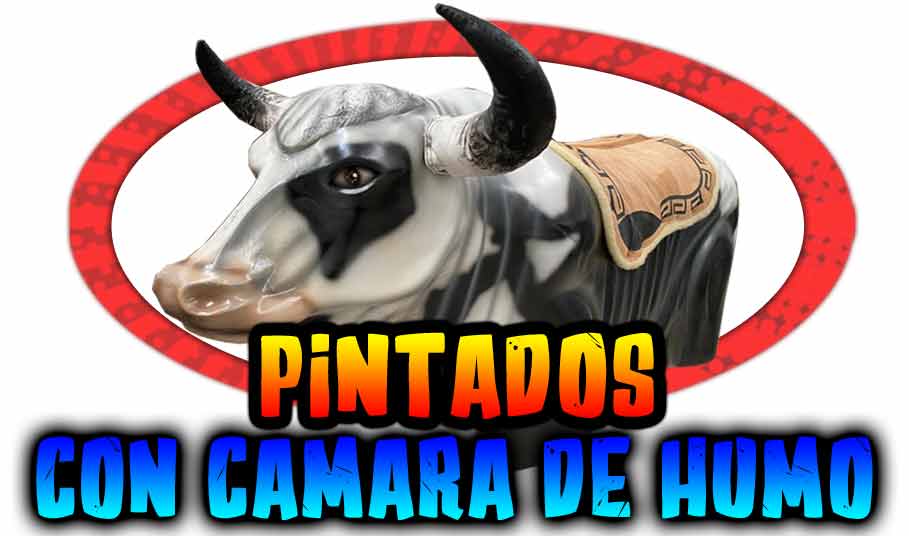 Brincolines Basicos para Rentar